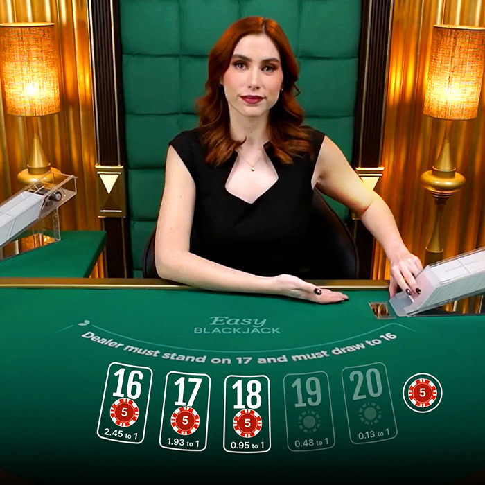 Blackjack 513Bet